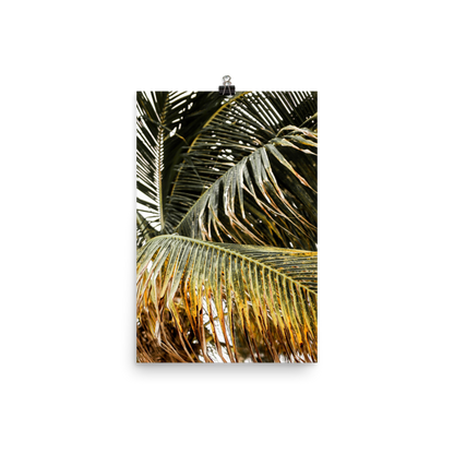 Palm Tree Print