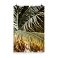 Palm Tree Print